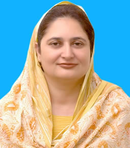 Mrs Mehwish Ali